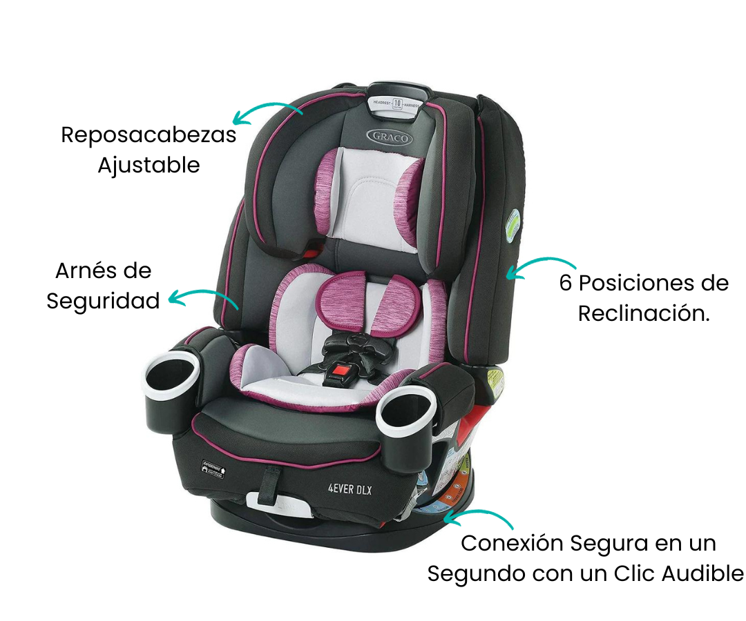 Características