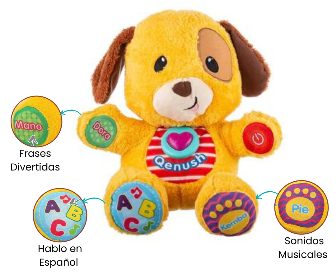 Características