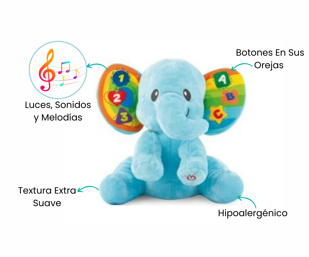 Características