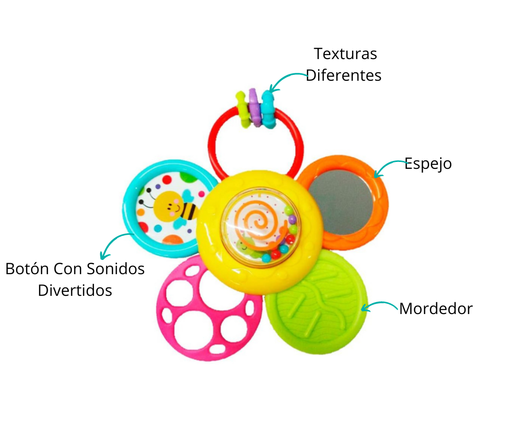 Características