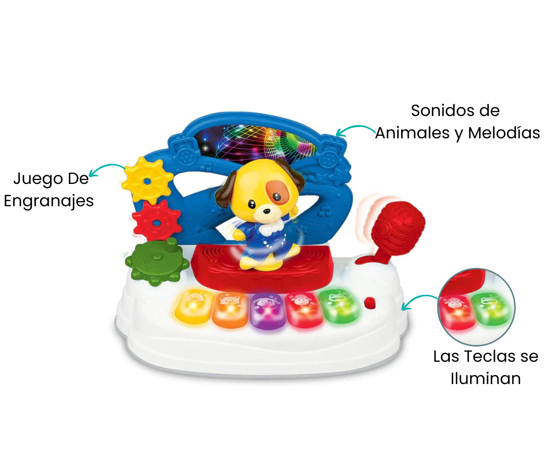 Características