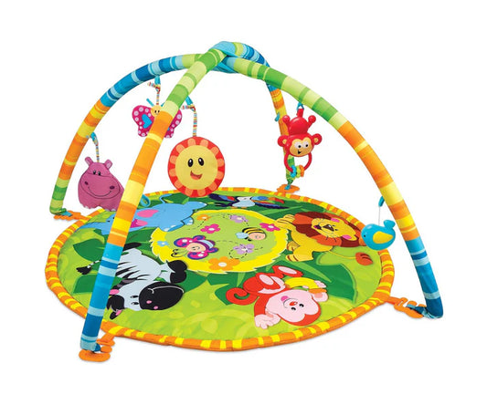 Gimnasio Actividad Jungla Winfun