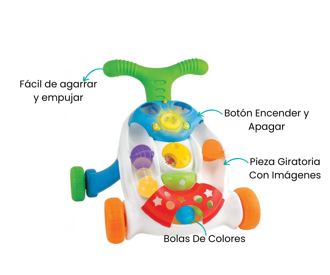 Características