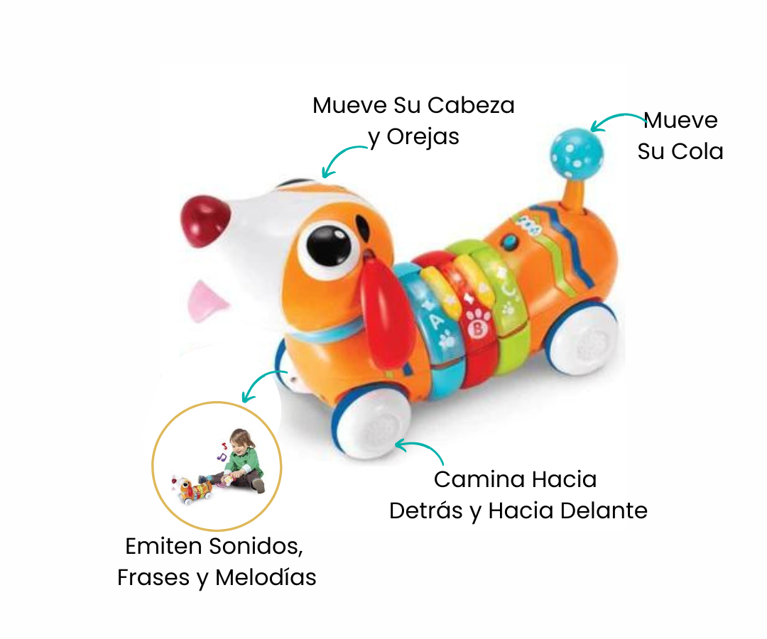 Características