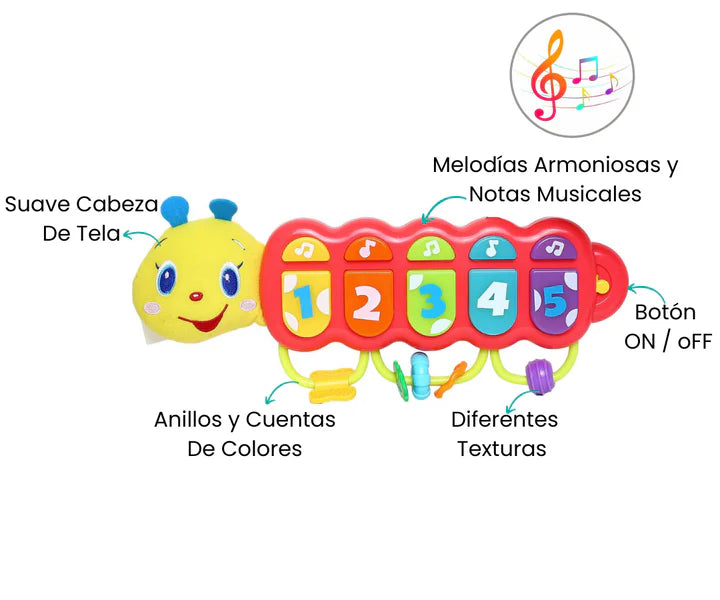 Características