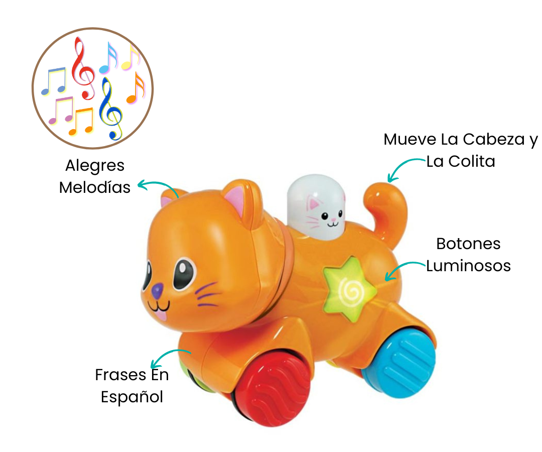 Características