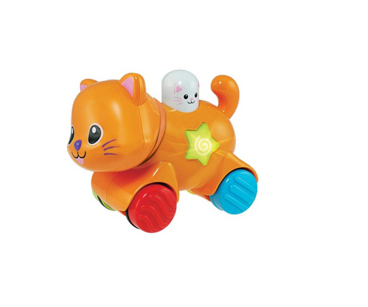Gatico Didáctico Presiona y se va Winfun
