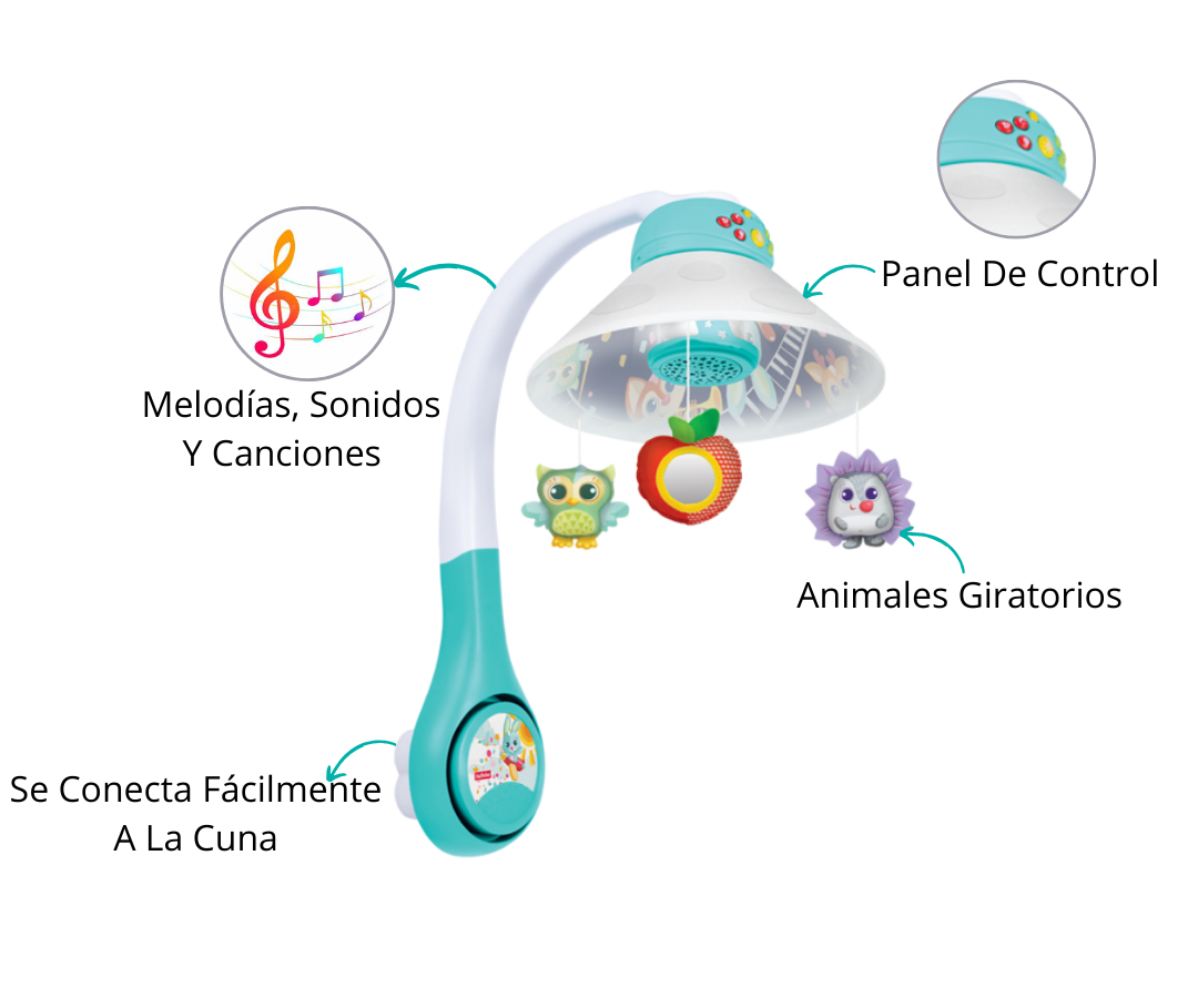 Características