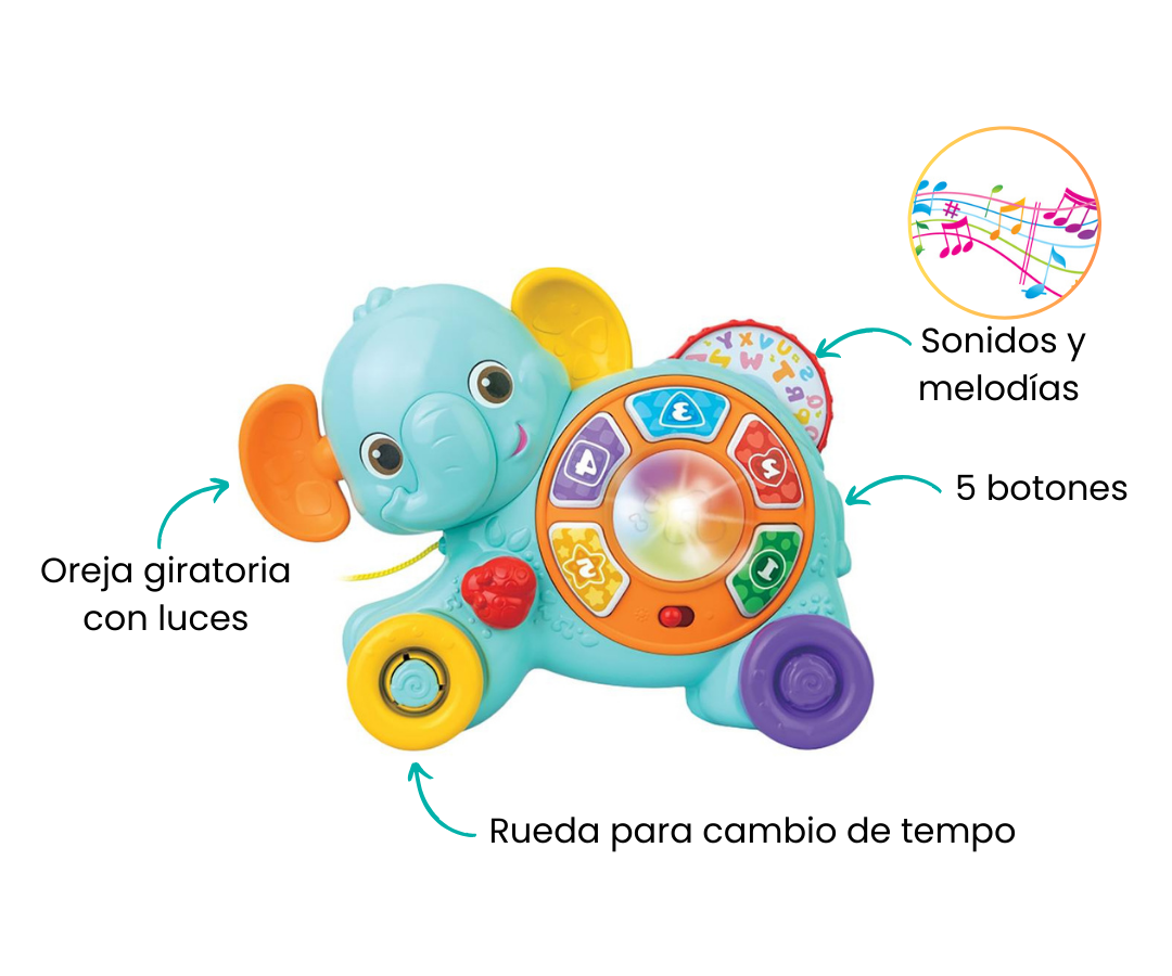 Características