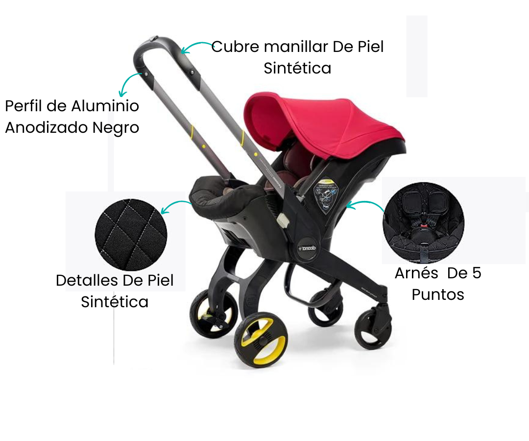 Características