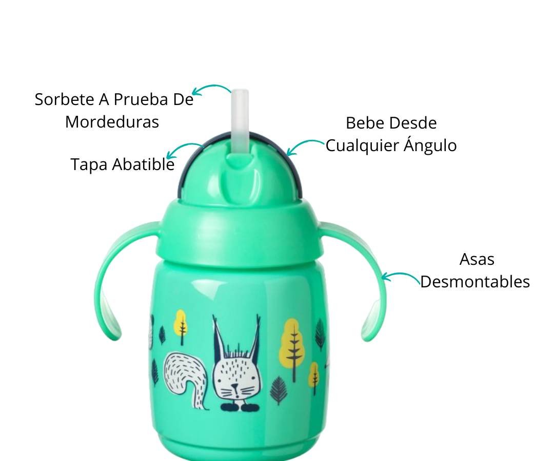 Características