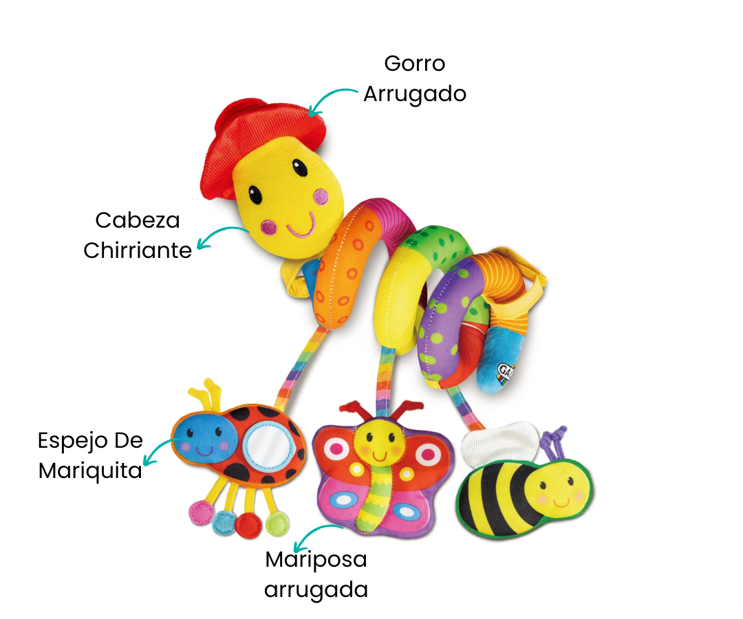 Características