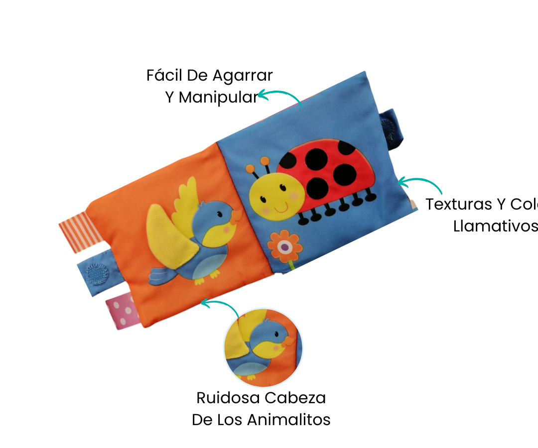 Características