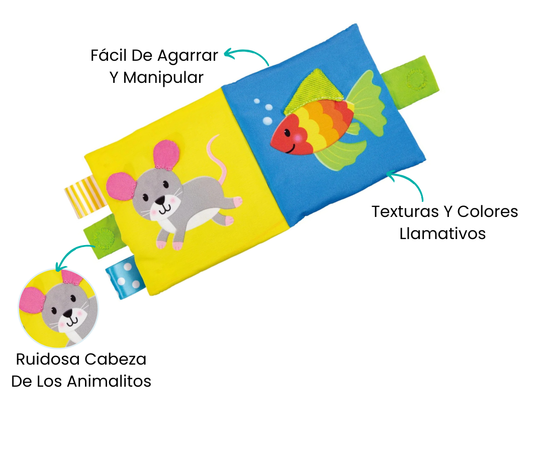 Características