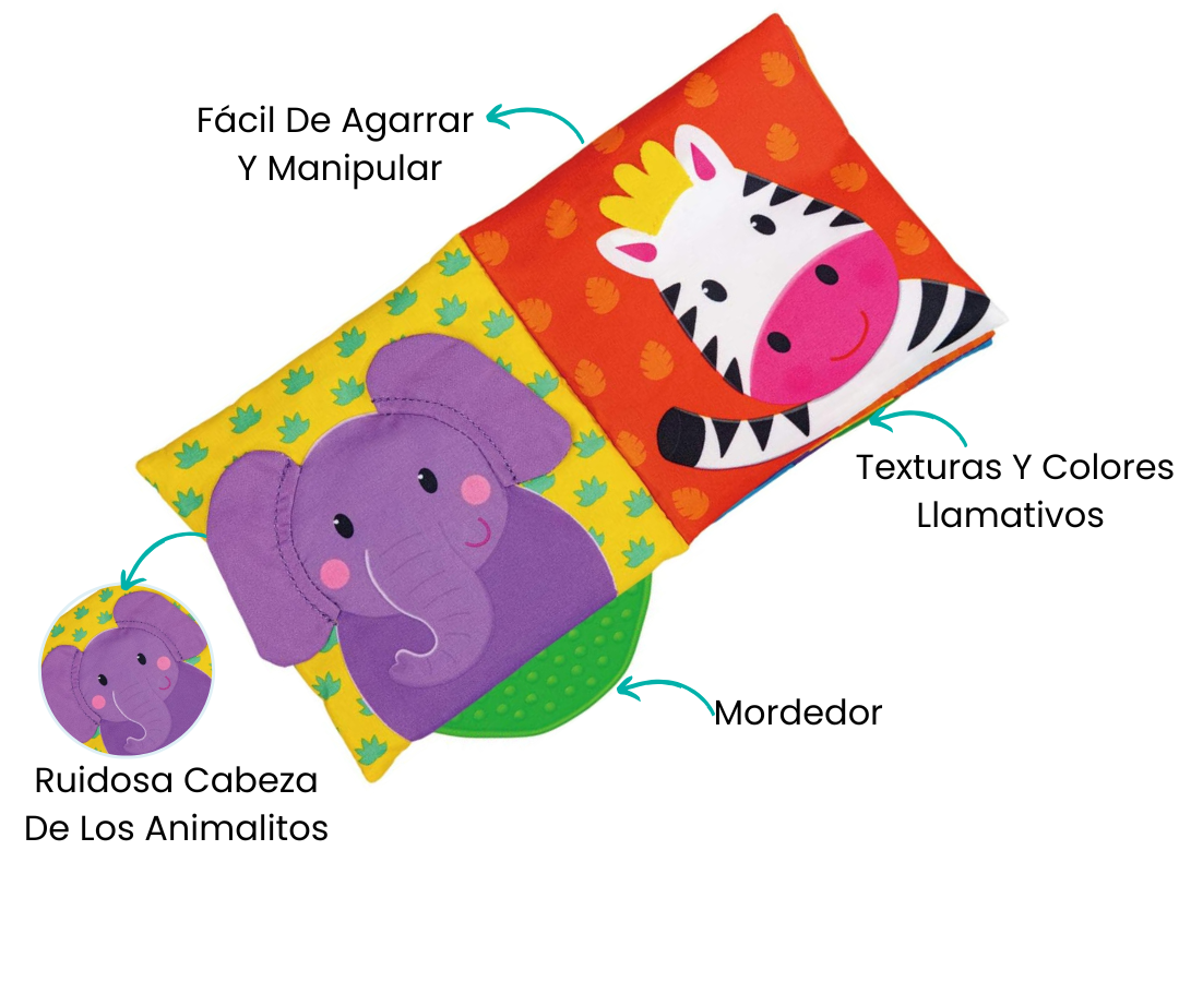 Características