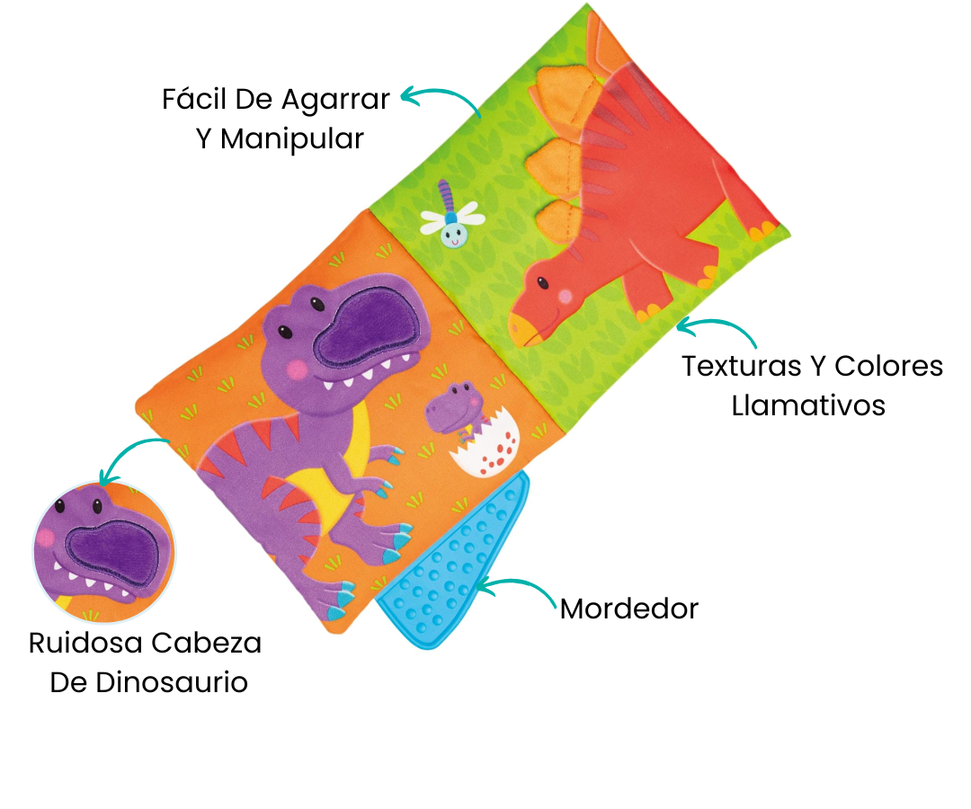 Características