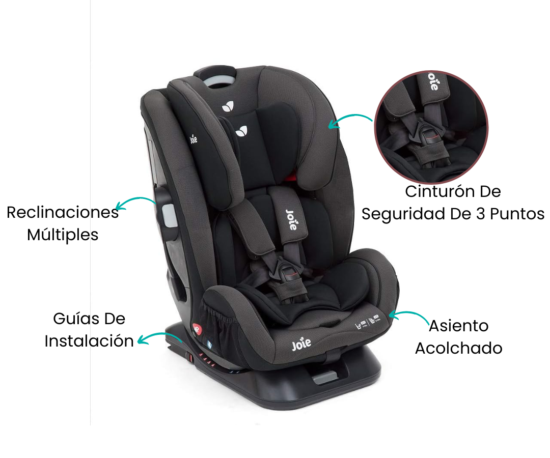 Características