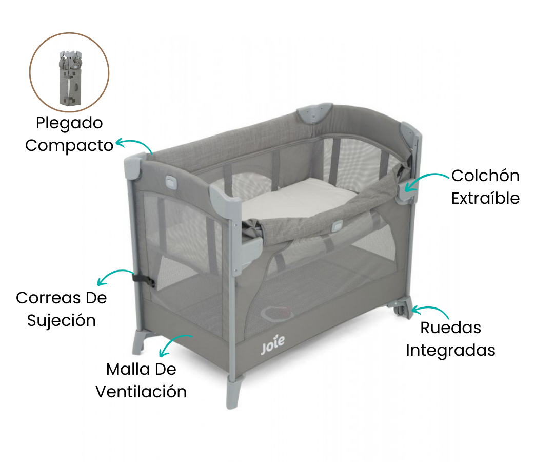 Características