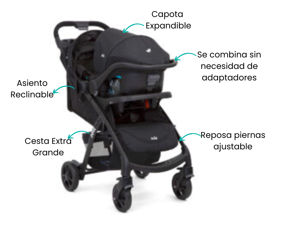Características