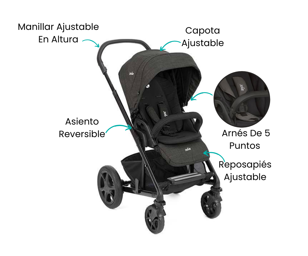 Características