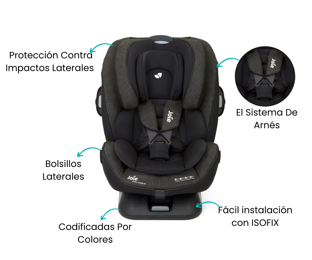 Características