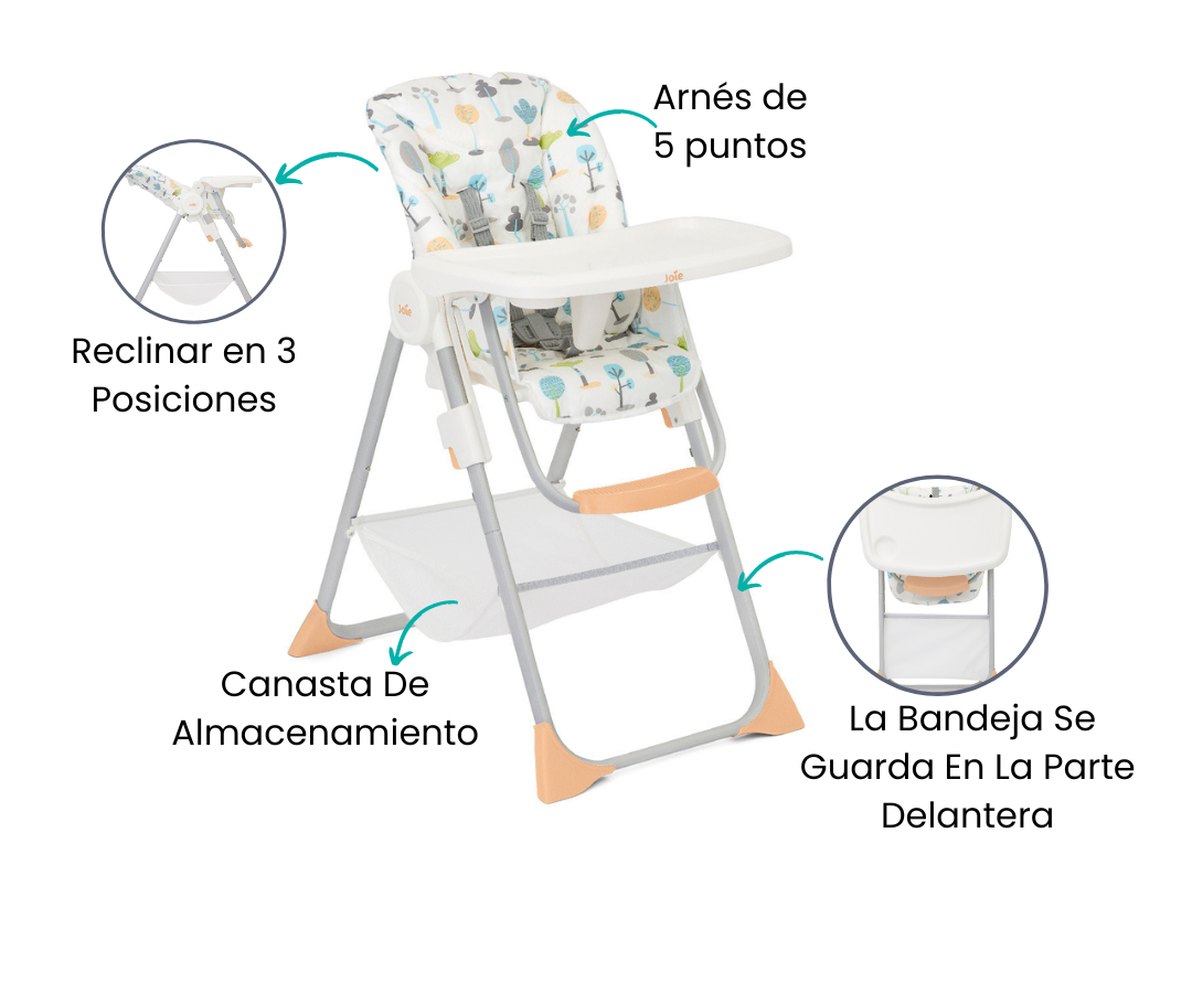 Características
