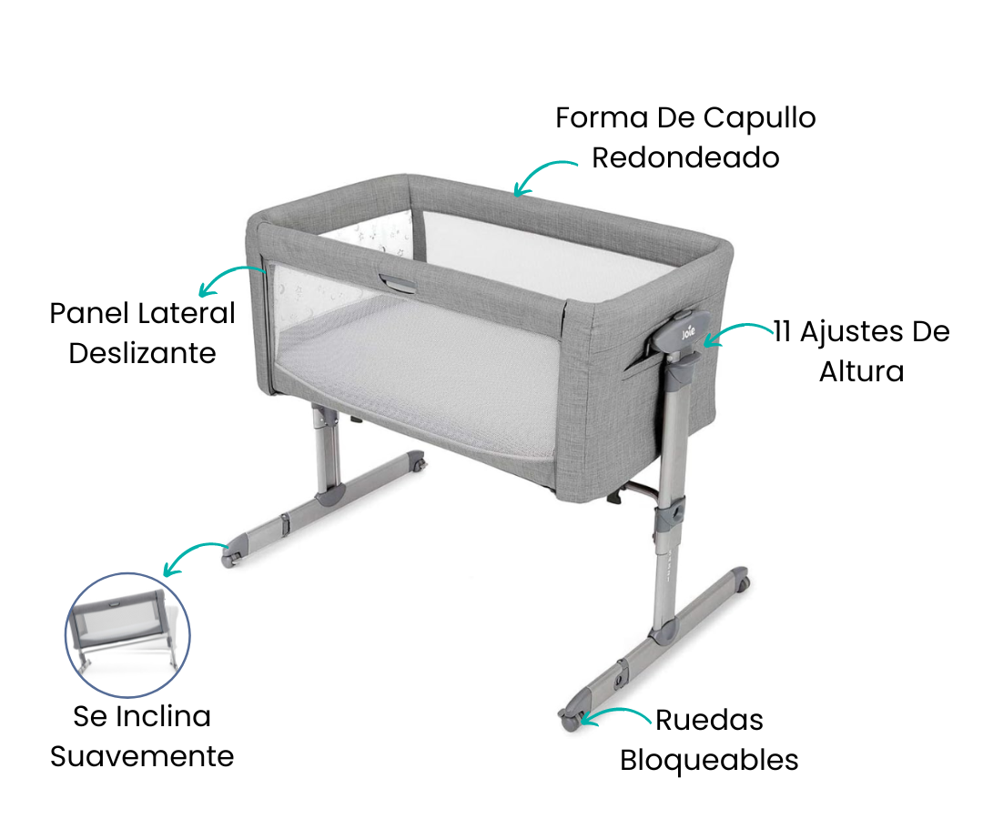 Características
