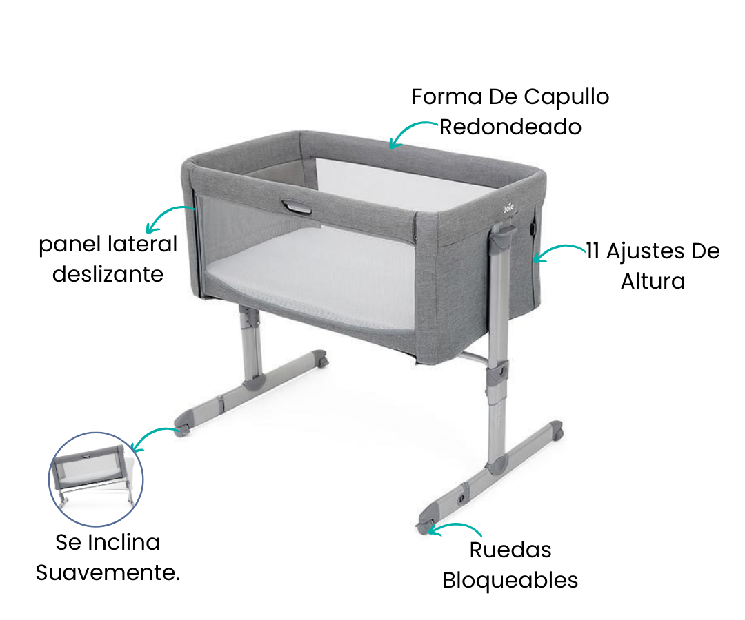 Características