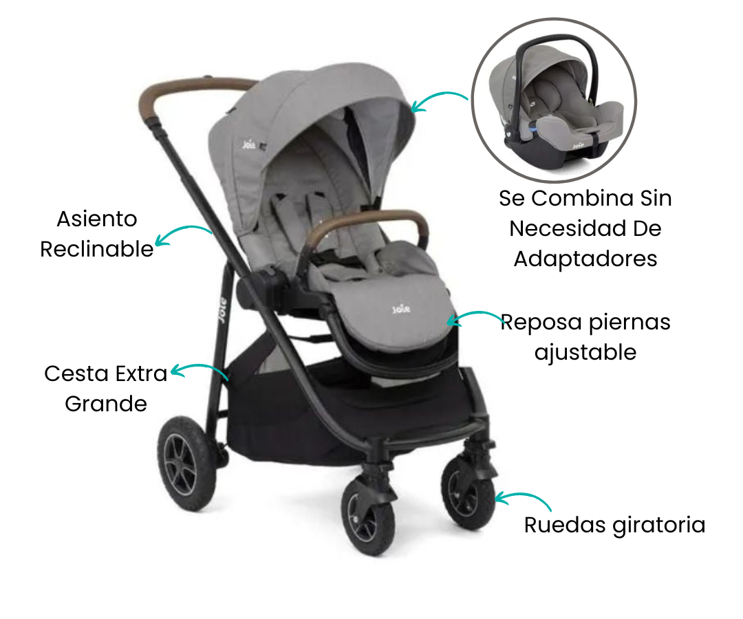 Características