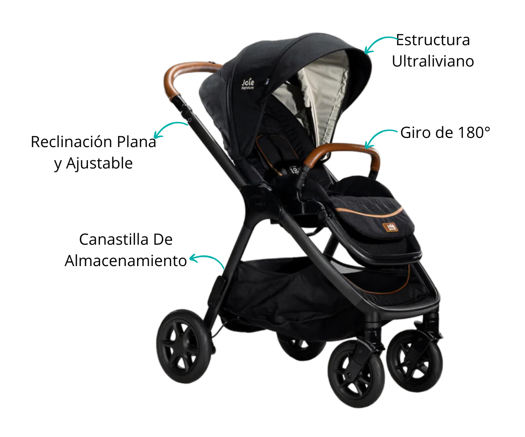 Características
