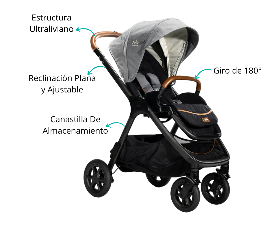 Características
