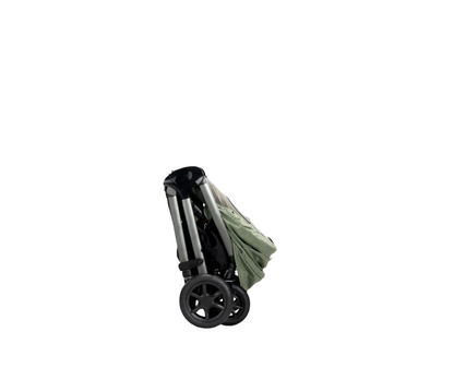 Coche Signature Finiti Pine Joie
