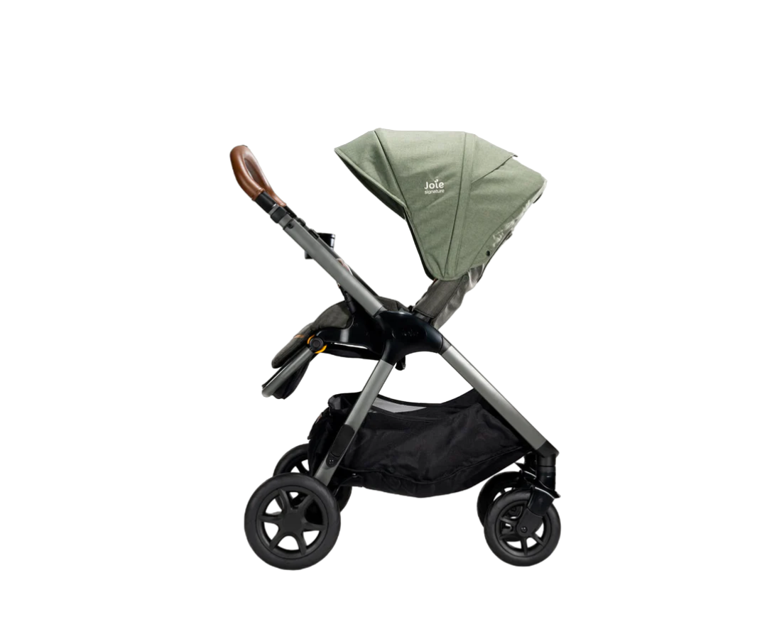 Coche Signature Finiti Pine Joie