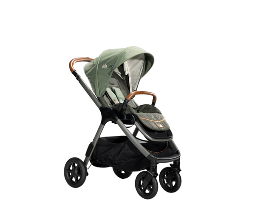 Coche Signature Finiti Pine Joie