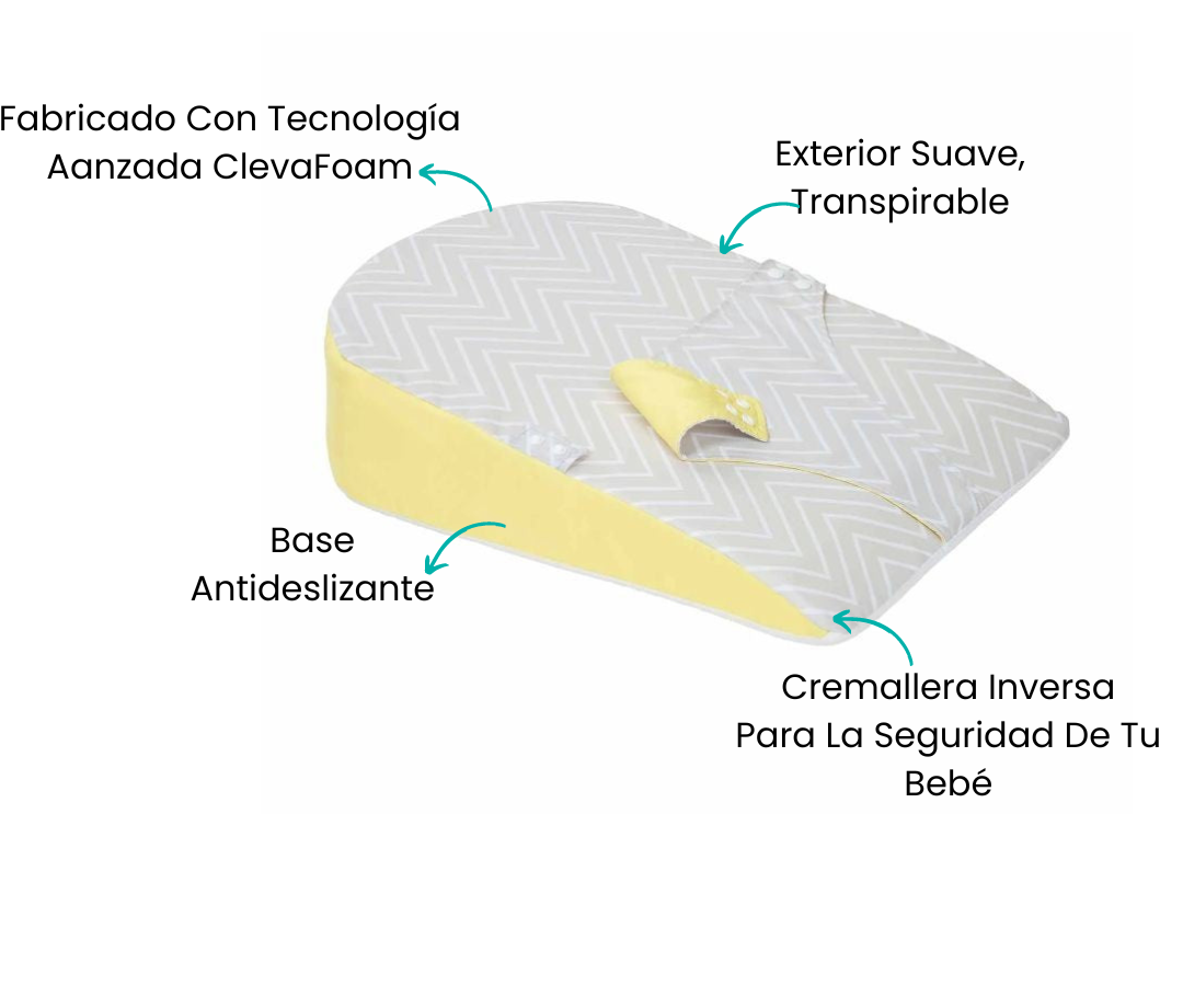 Características