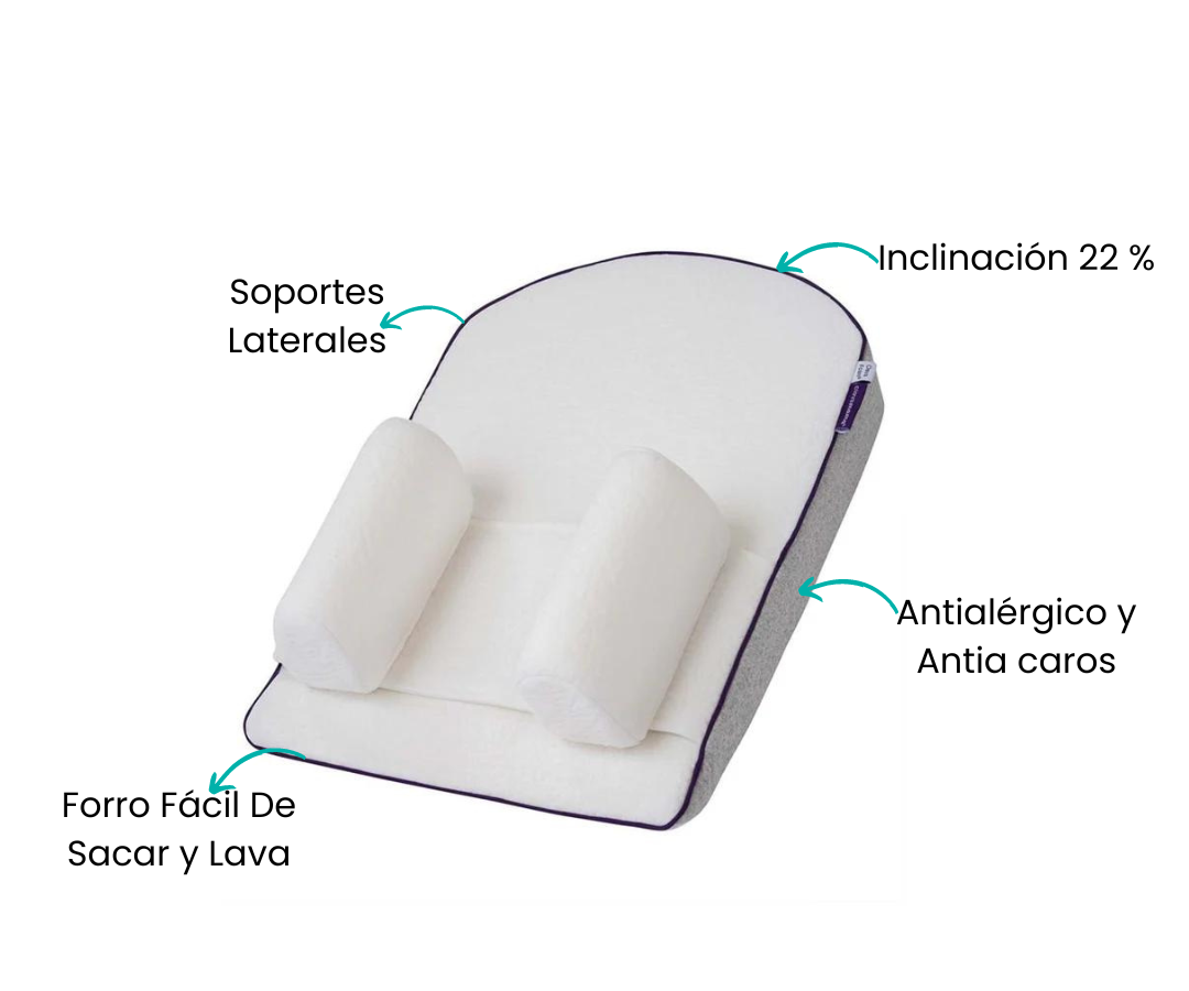 Características