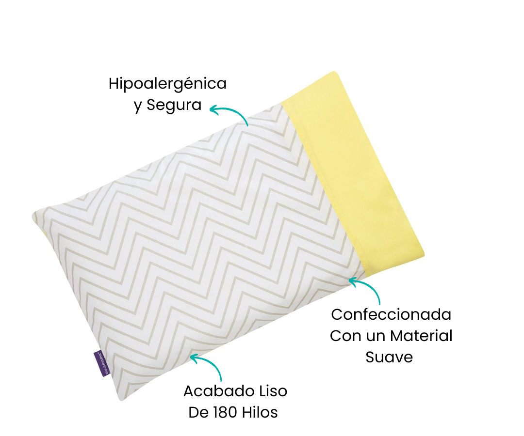 Características