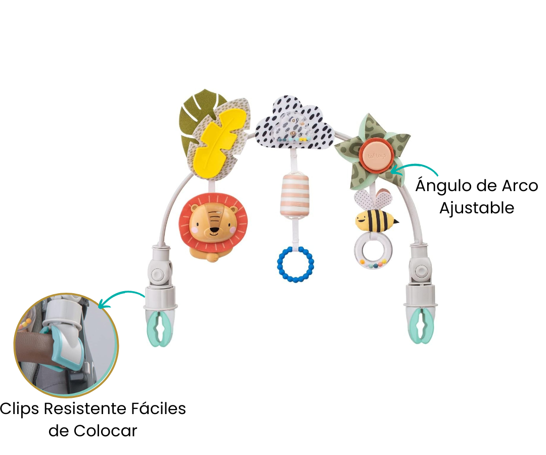 Características