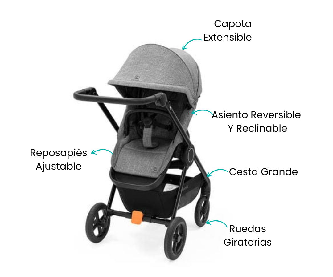 Características