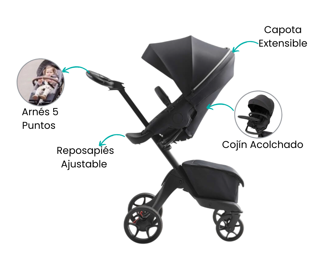 Características