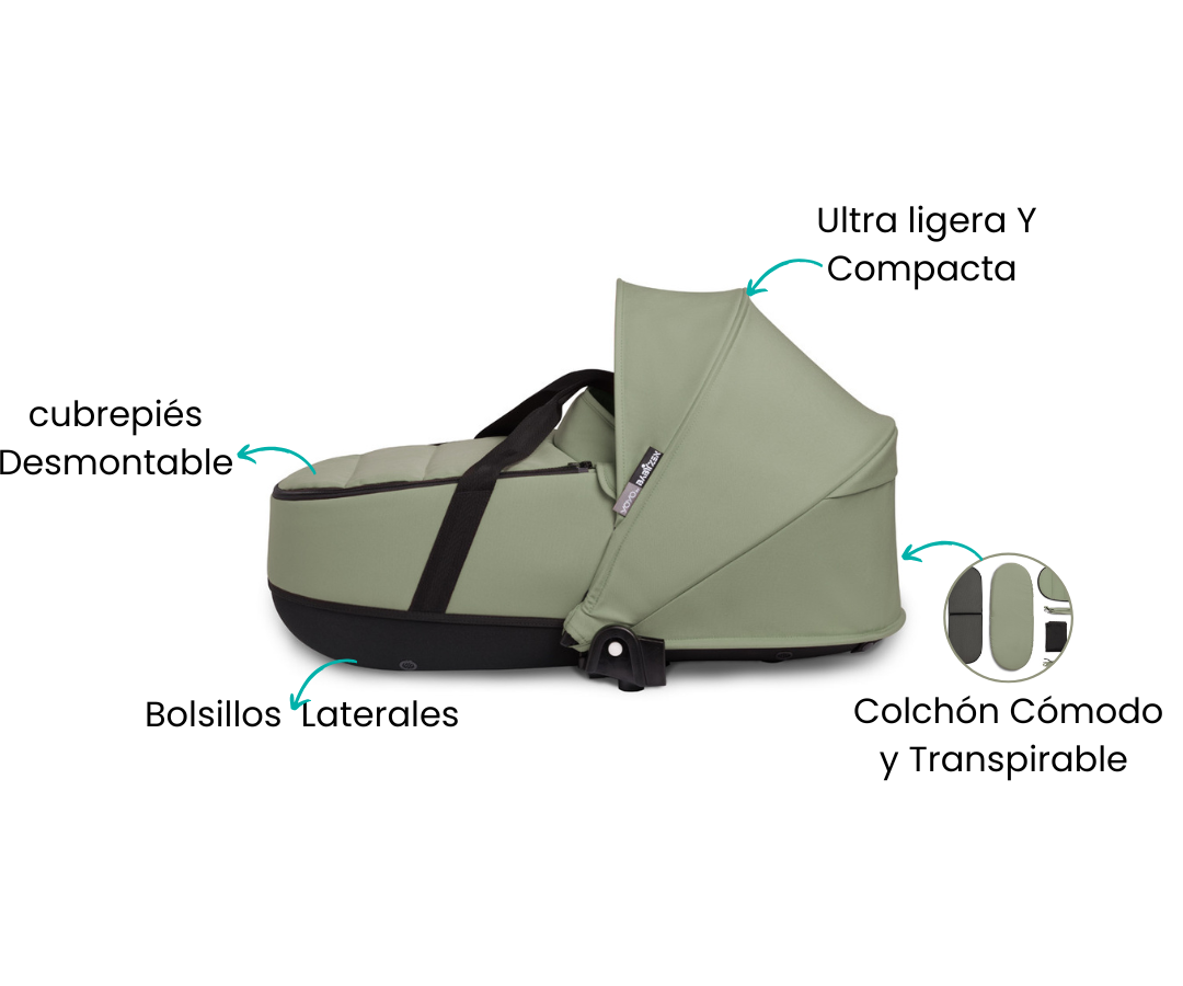 Características