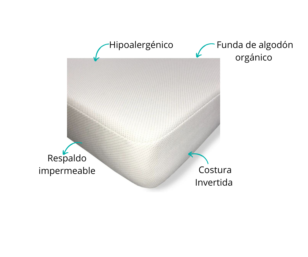 Características