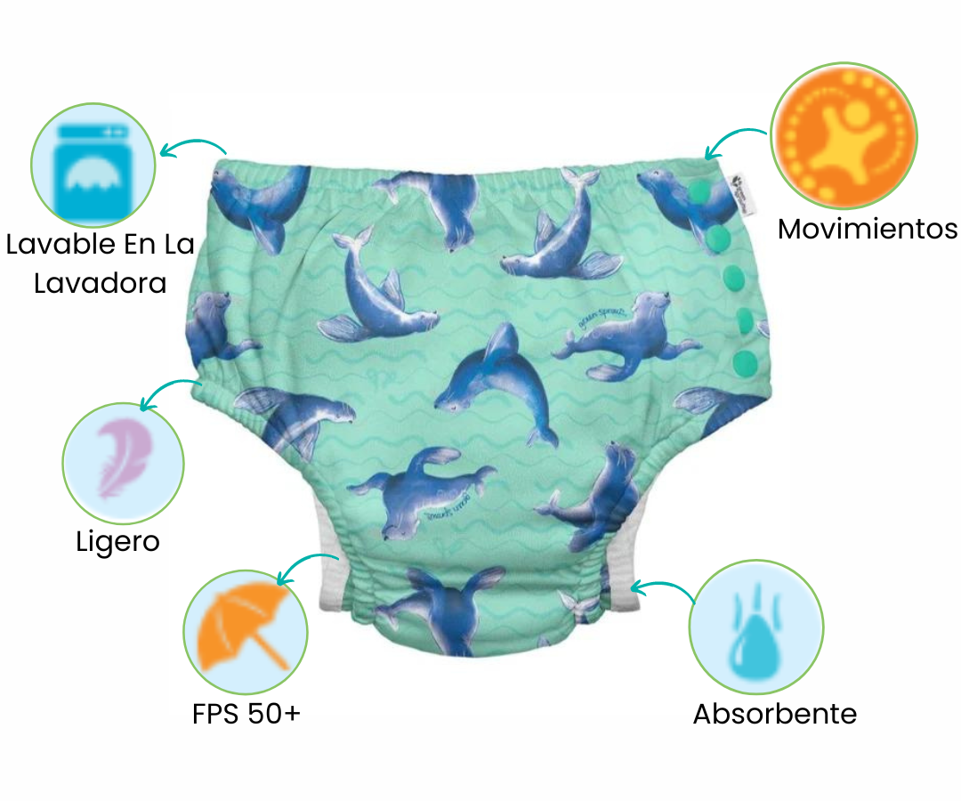 Características