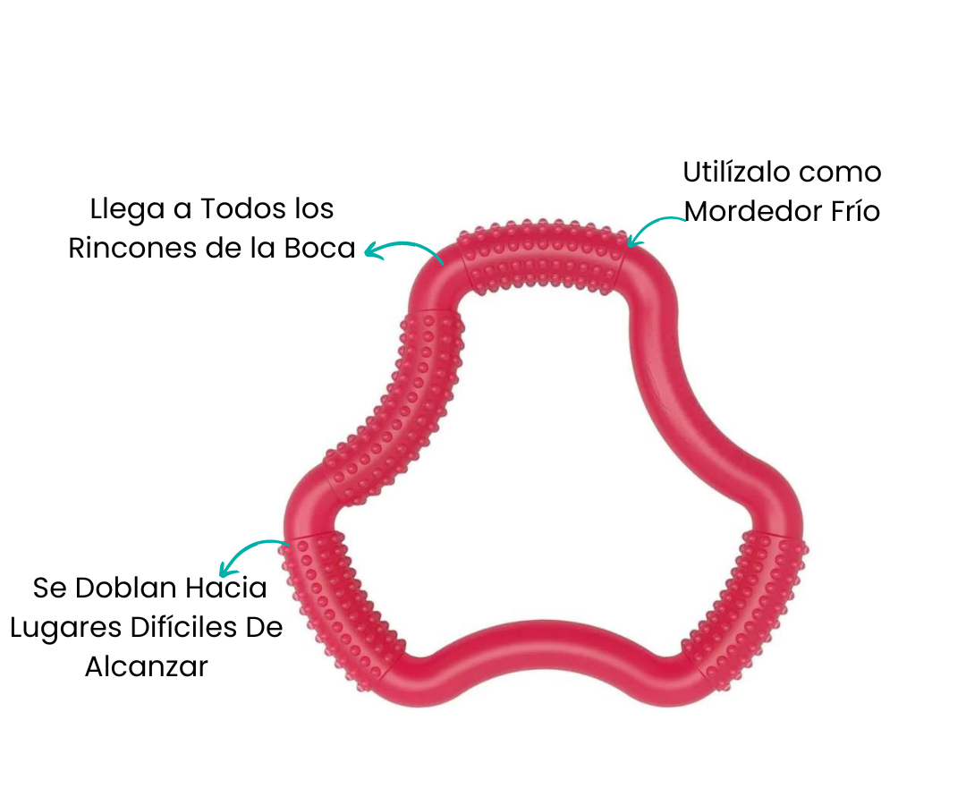 Características
