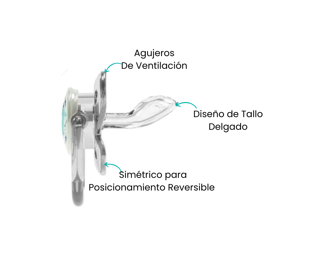 Características