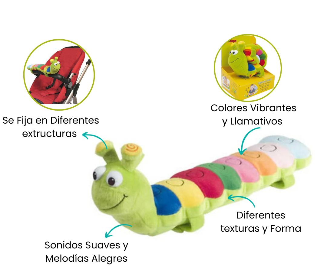 Características