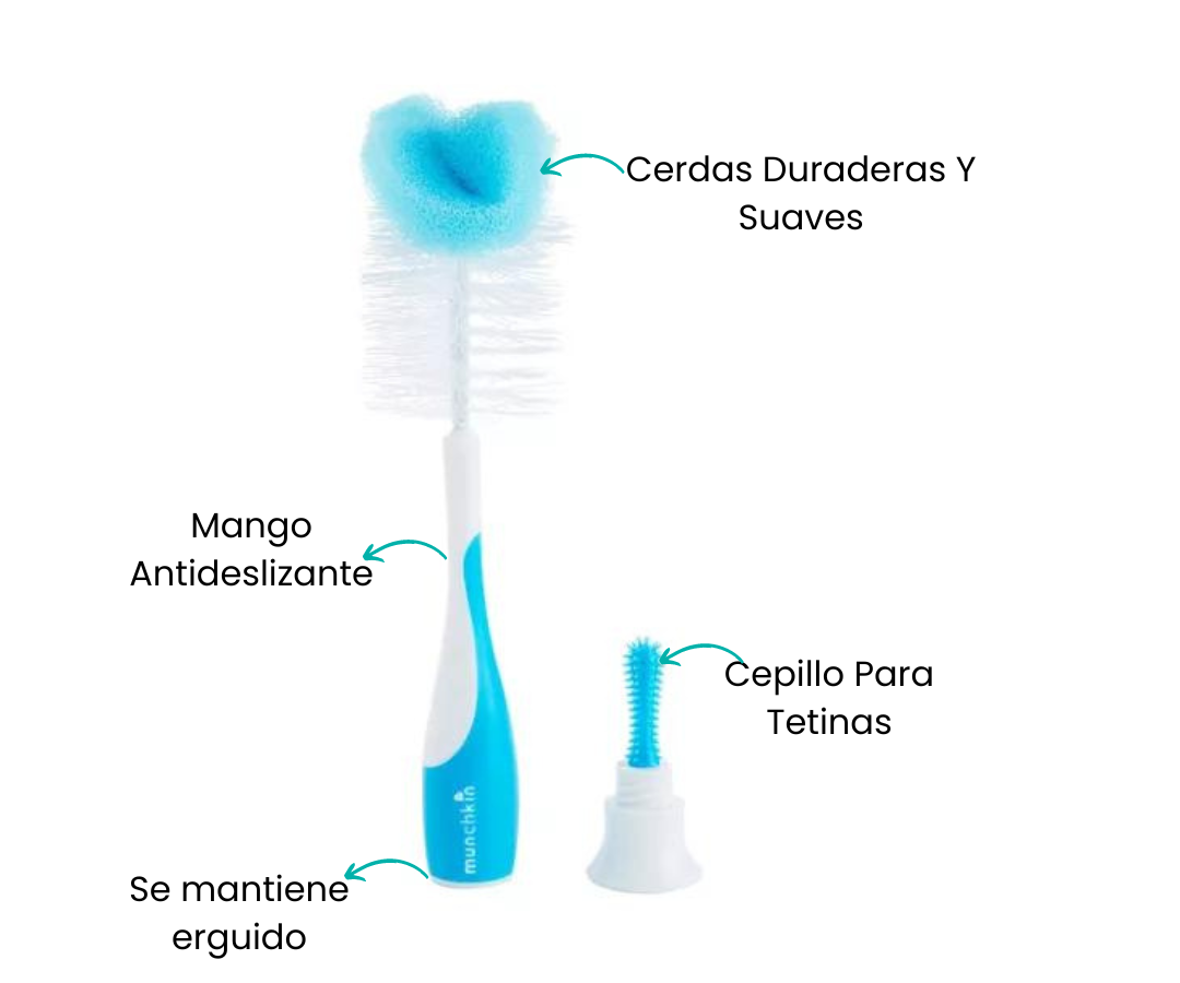 Características