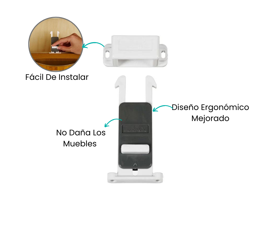 Características