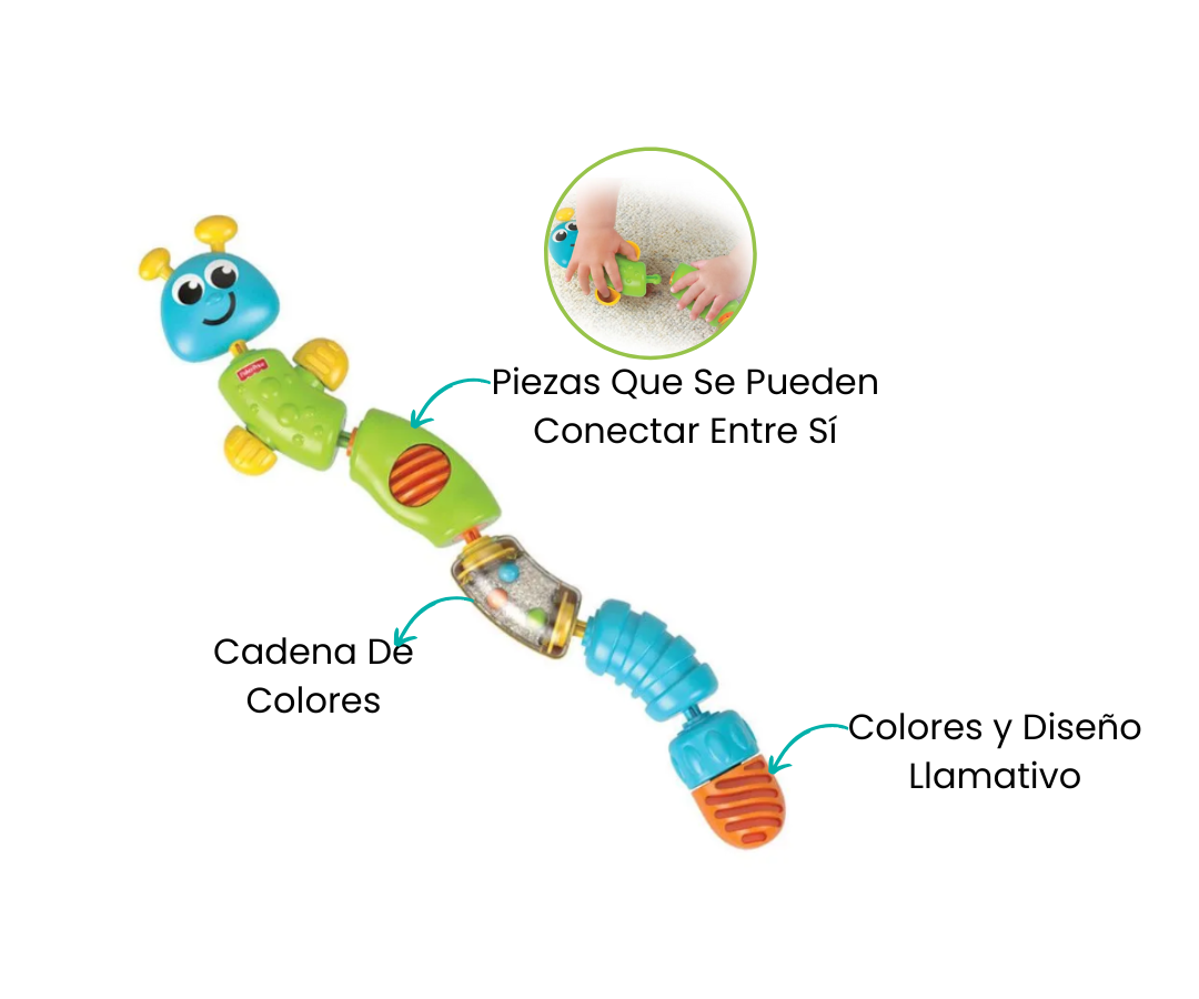 Características