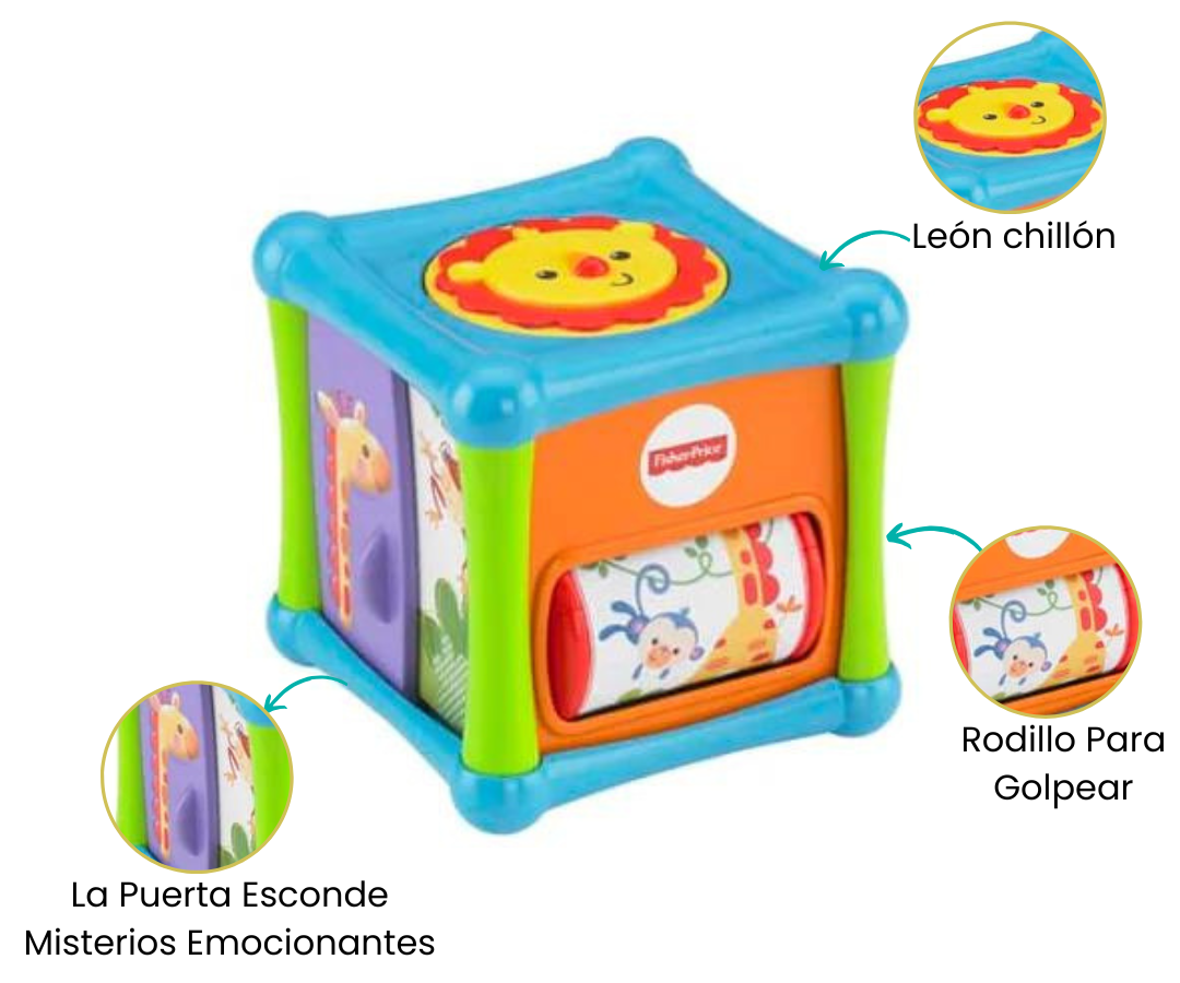 Características